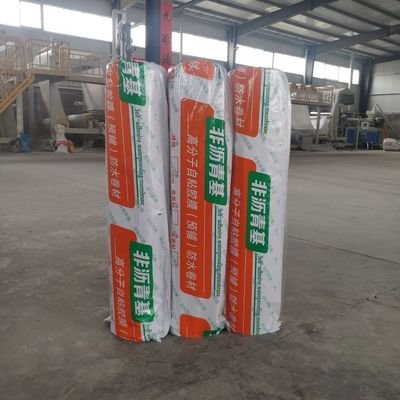 China No Leakage Waterproof HDPE Membrane Chemical Durability For Long Lasting Protection