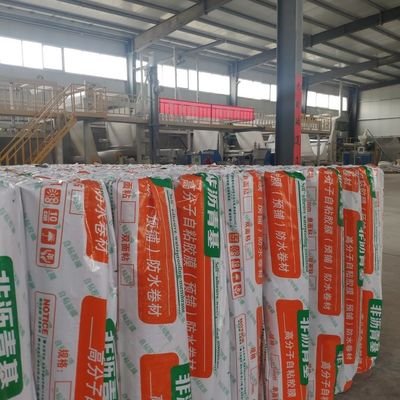 China Surface Smooth Hdpe Waterproofing Membrane 2.0mm Highly Resilient