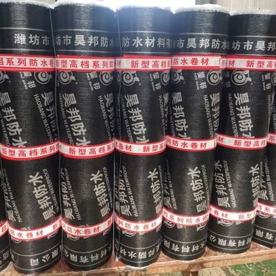China Flexible SBS Bitumen Membrane 10m/Roll High-Performance Roof Moisture Protection