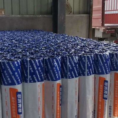 HDPE pre-laid anti-sticking waterproof membrane for basements tunnels & subways